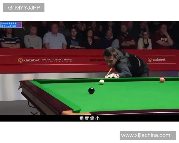 塞尔比与罗伯逊精彩对决录像回放全程分析与精彩瞬间分享